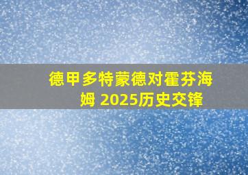 德甲多特蒙德对霍芬海姆 2025历史交锋